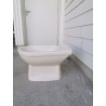 bidet