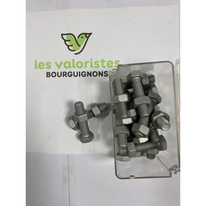 Lot de12 vis-Boulon