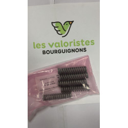 Lot de 5 Ressorts