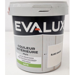 Peinture Intérieur