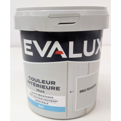 Peinture Intérieur