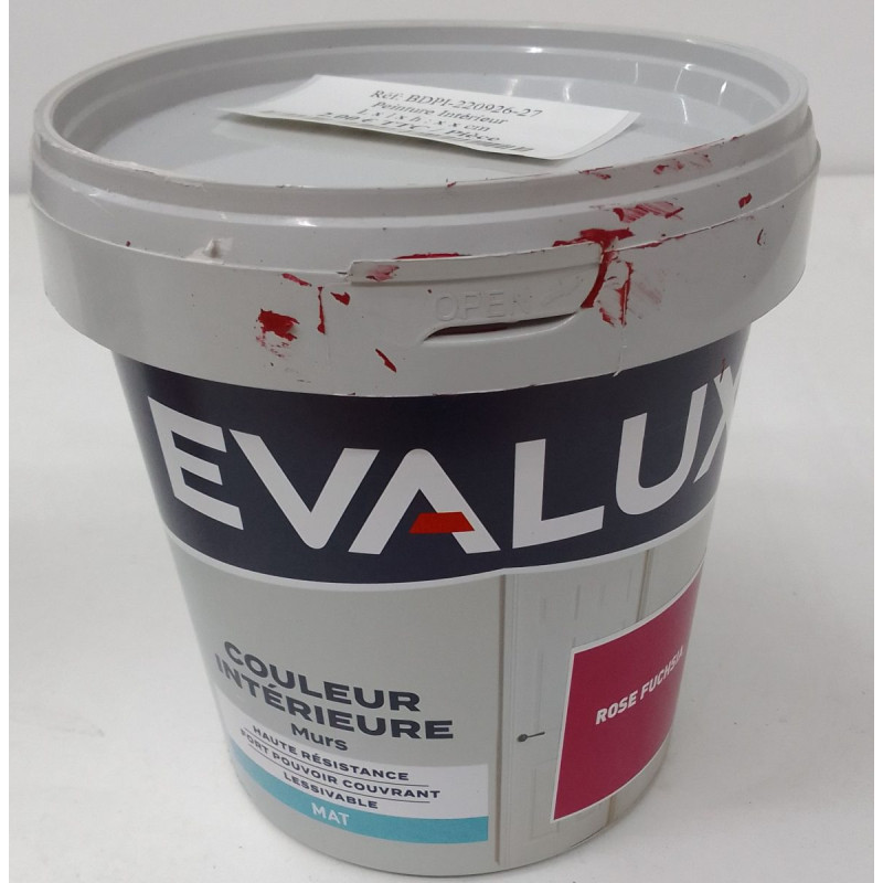 Peinture Intérieur