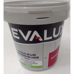 Peinture Intérieur