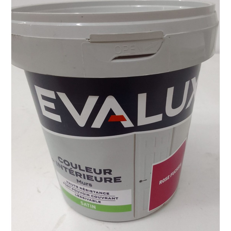 Peinture Intérieur