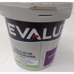 Peinture Intérieur