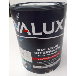 Peinture Intérieur