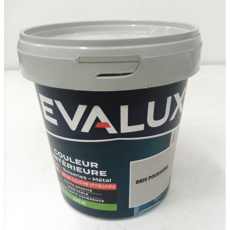 Peinture Intérieure 2en 1