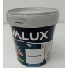 Peinture Intérieure 2en 1