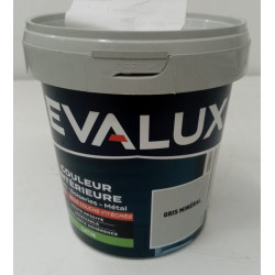Peinture Intérieure 2en 1