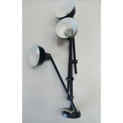 Luminaire