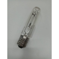 Ampoule