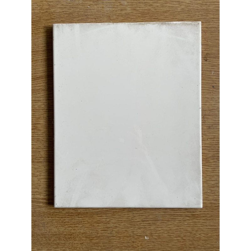 Carrelage mural - rectangle - blanc