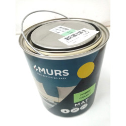 Peinture murs et boiseries