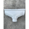 Naissance centrale pour gouttière