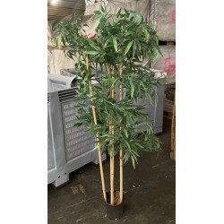 Bambou décoratif